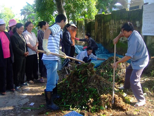 Hoạt động tập huấn